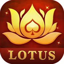 teen patti cards on table download